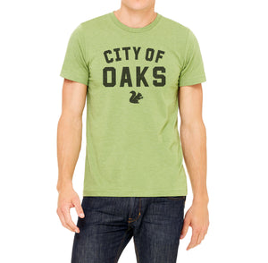 City Of Oaks Green
